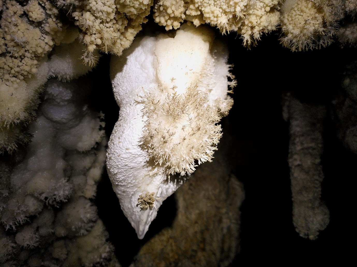 Splendid Formation Found In Northen Balkonhöhle (© Nat Dalton)