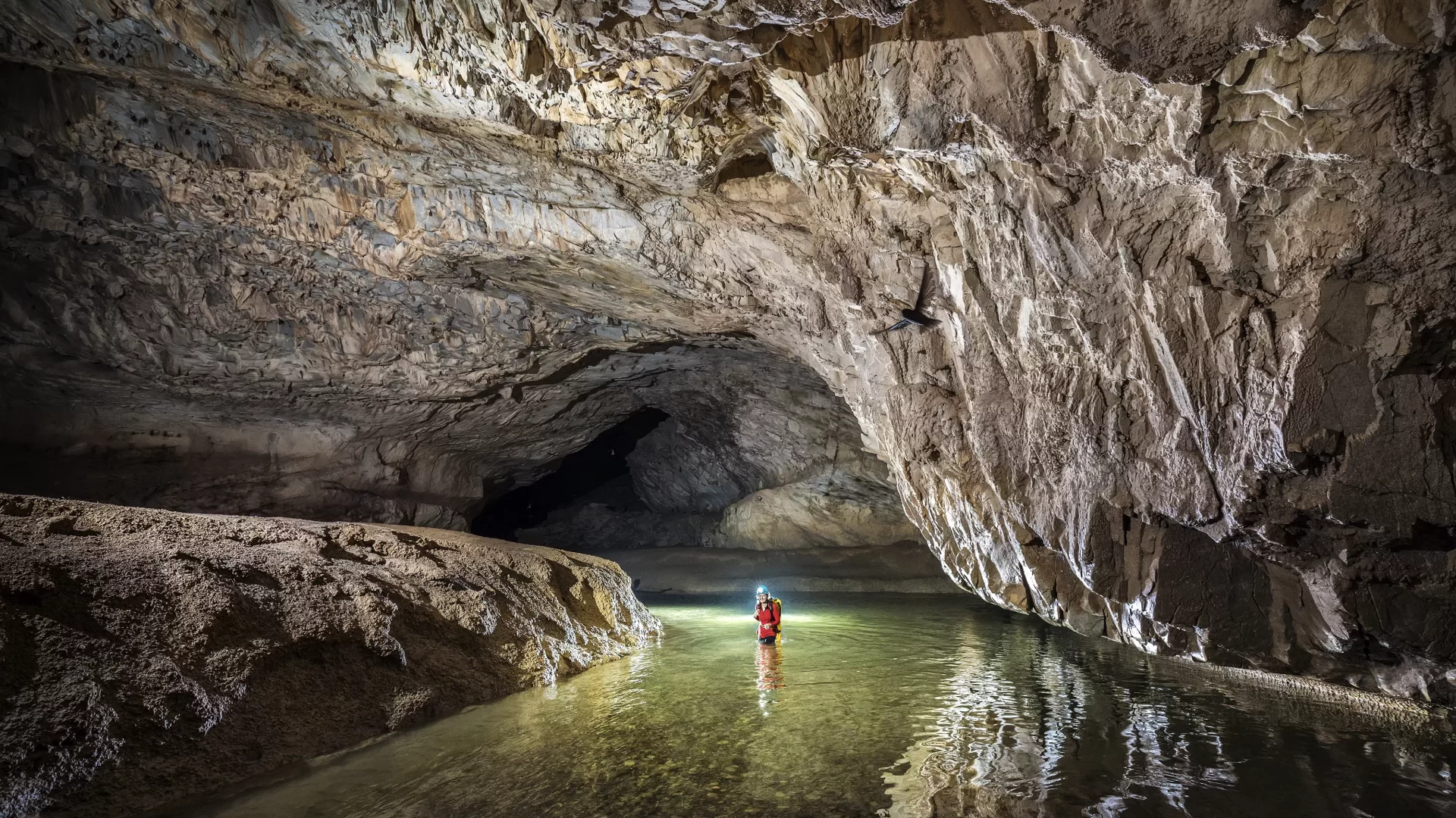 Judith Calford, Cave Of The Winds, Mulu, Malaysia (© Chris Howes)