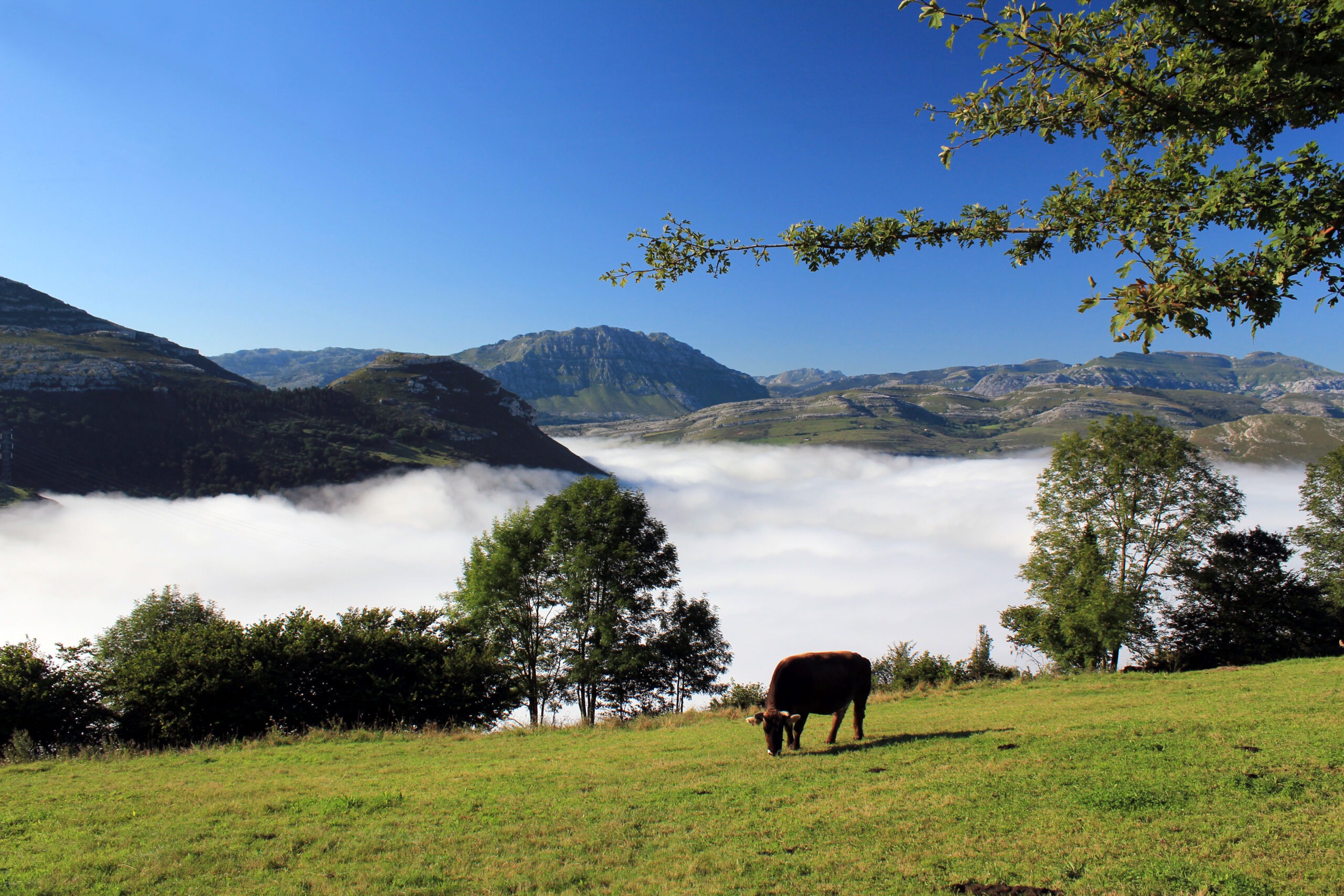 Matienzo Valley In Mist Looking To The South (© Philip Papard)