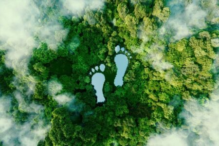 Two lakes in a rainforest in the shape of human footprints, viewed from above.
